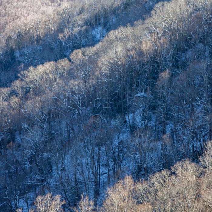 Near Grandview Rim Trail