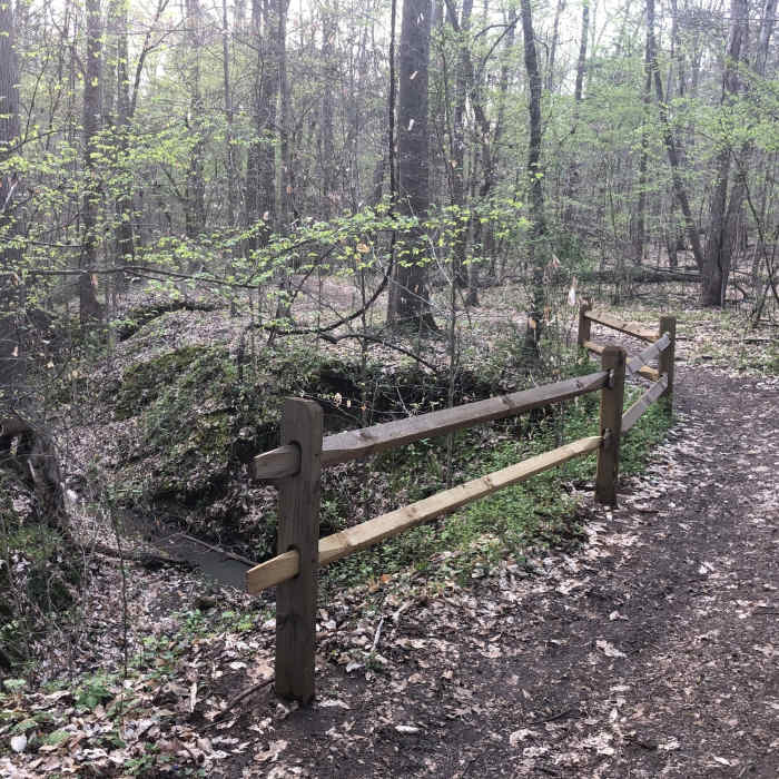 Trail Near McDowell Park Loop A