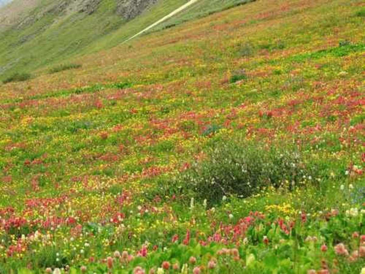 Stony Pass photo 3