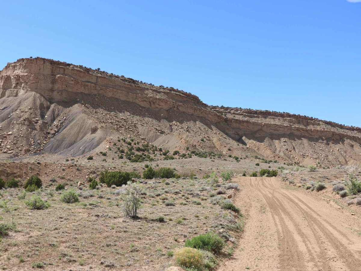 Pinto Bench trail photo