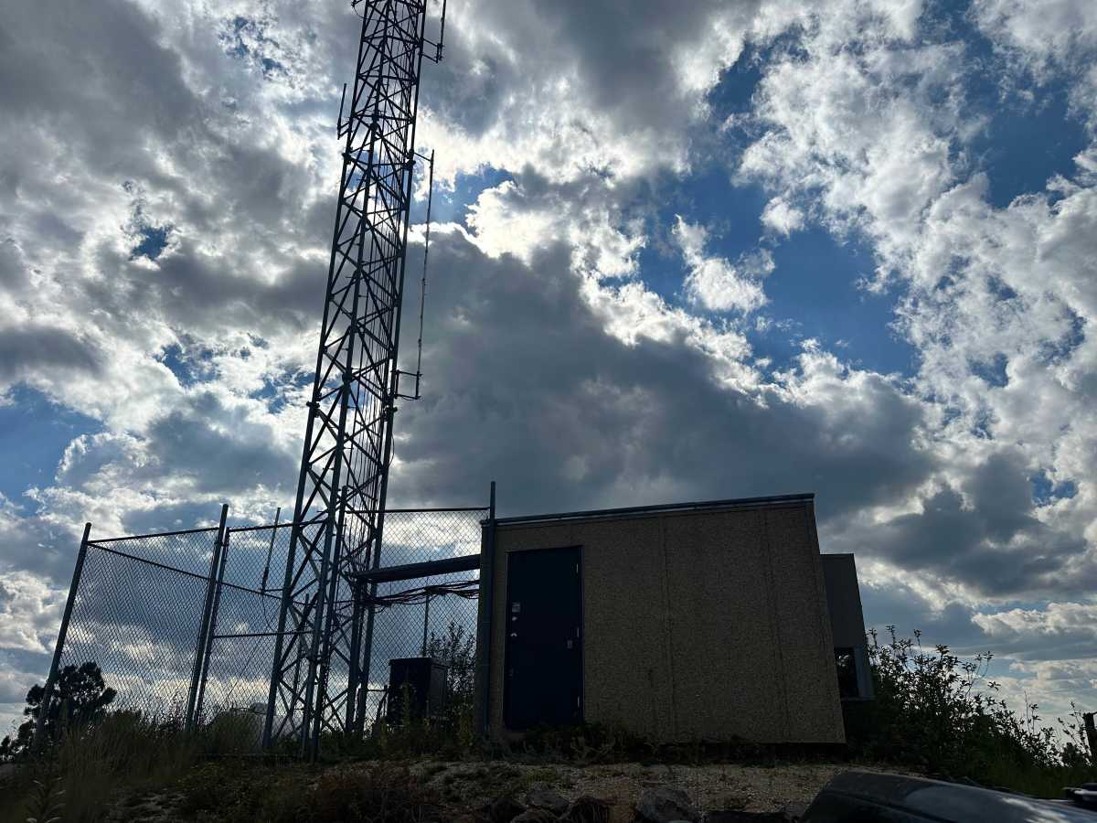 Cicero Peak Road photo 3