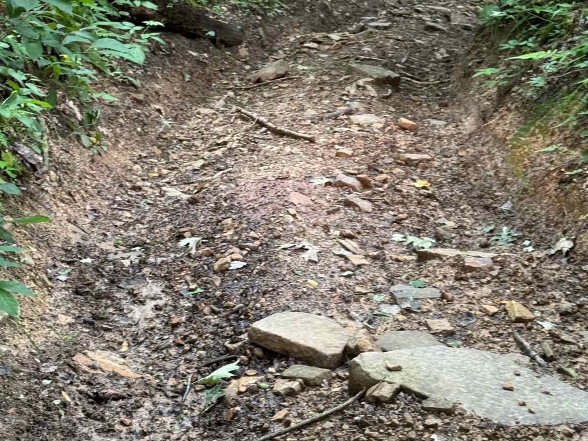 Trail 26 photo 4