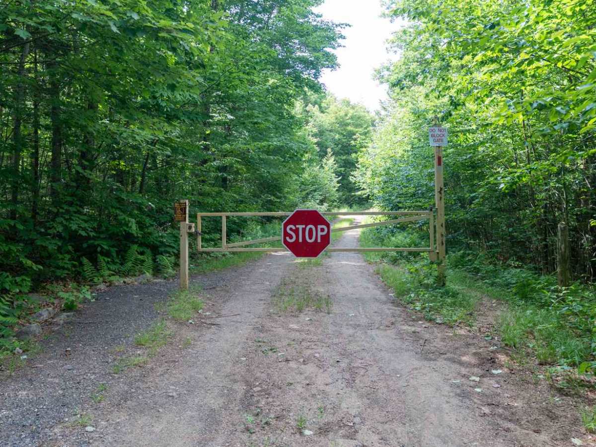 Deer Pond Road photo 6