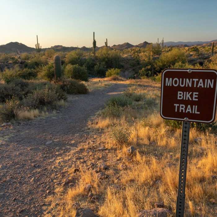 Near Mountain Bike Trail