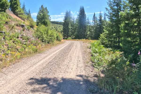 Crescent Creek Road - FS 2067510
