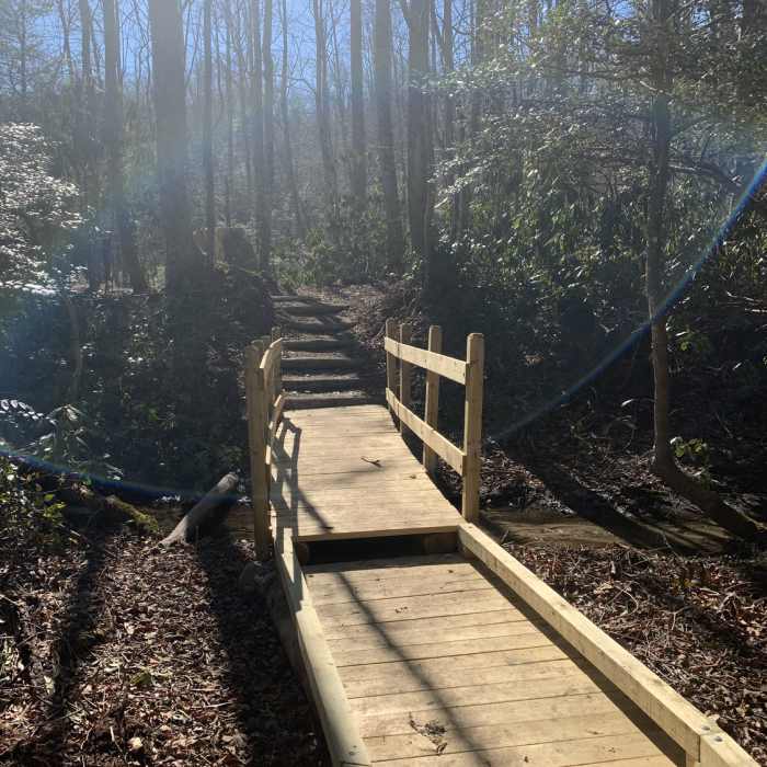 Near Equestrian Trail