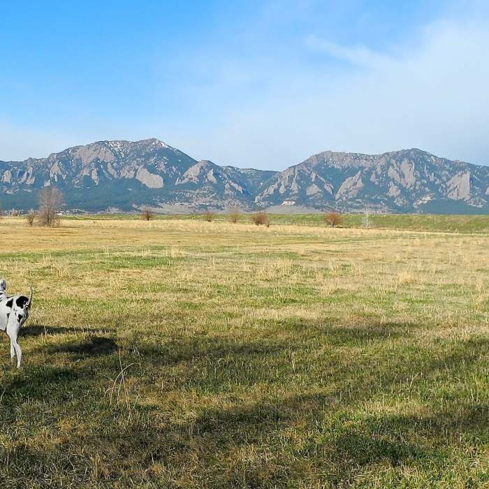 Near Dry Creek Trail