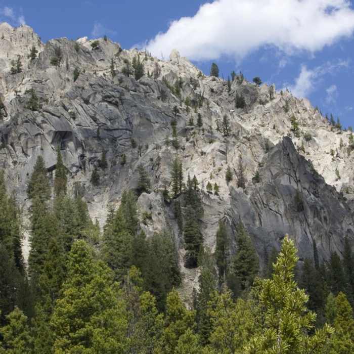 Near Alpine Way Trail, Iron Creek to Stanley Lake