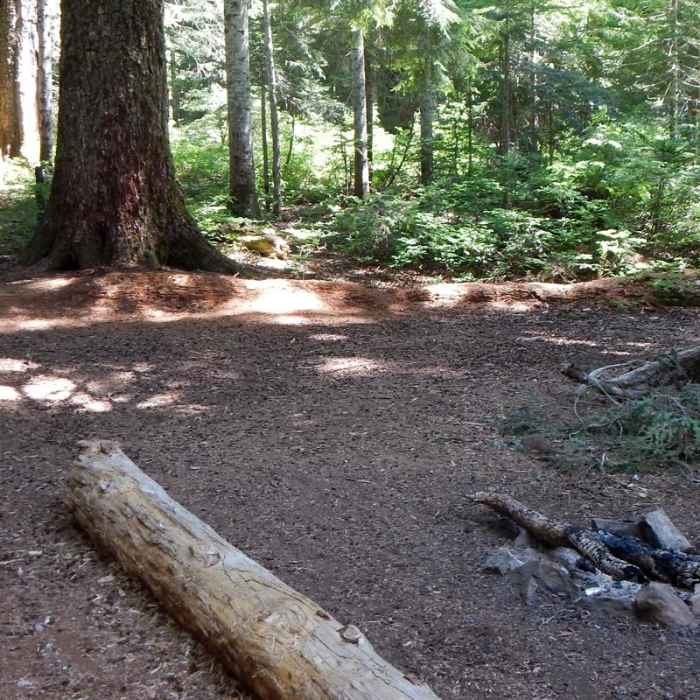 Near Dome Rock + Tumble Lake Hike