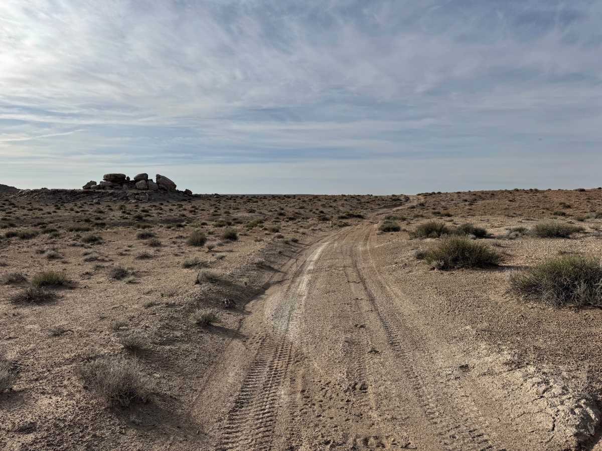 Gillis Ranch photo 5