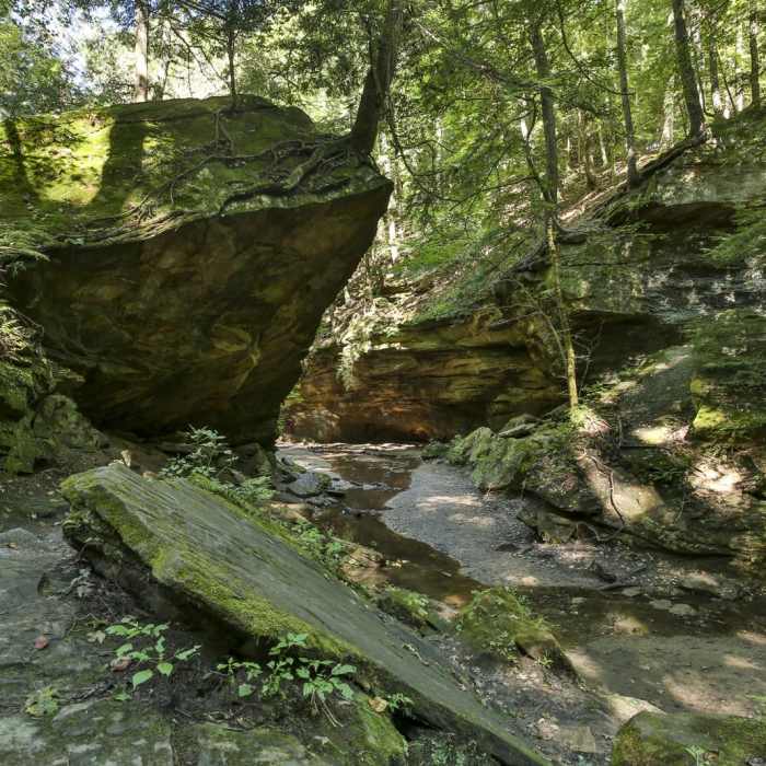 Near Rocky Hollow Falls Canyon Nature Preserve: Trail 3 Near Rocky Hollow Falls Canyon Nature Preserve: Trail 3