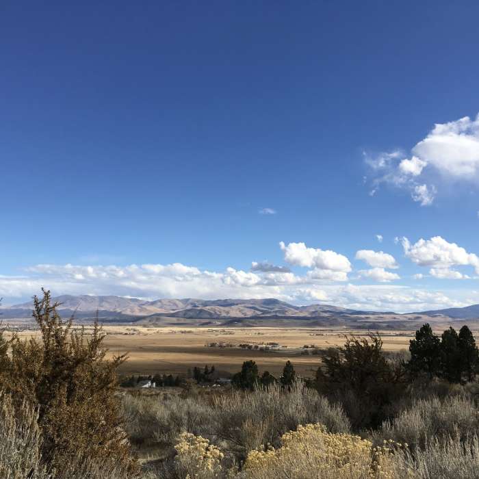 Near Fay Luther/Jobs Peak Ranch Trail