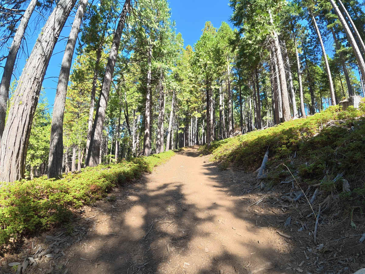FS 4N15 trail photo