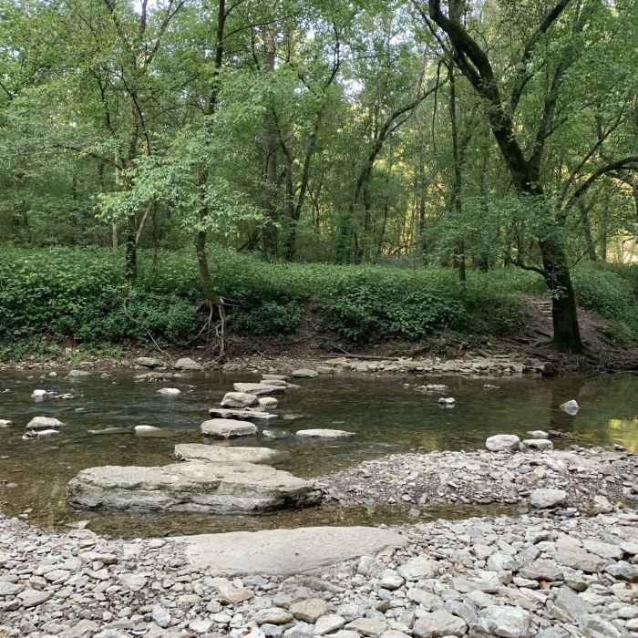 Near John Holder Trail