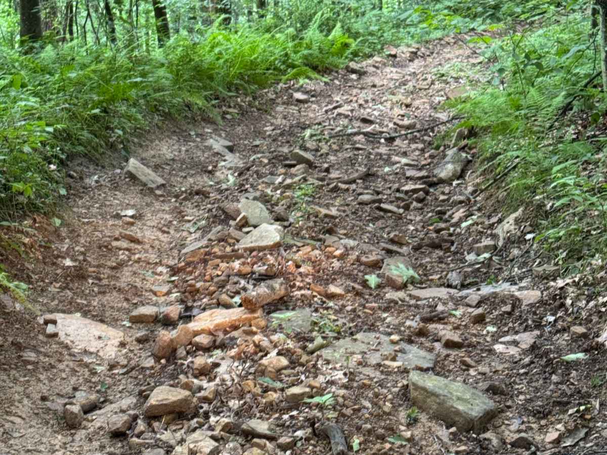 Trail 26 photo 5