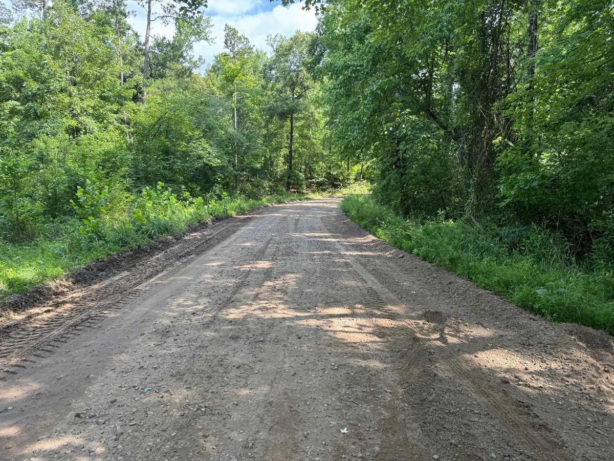 Rushing Road photo 4