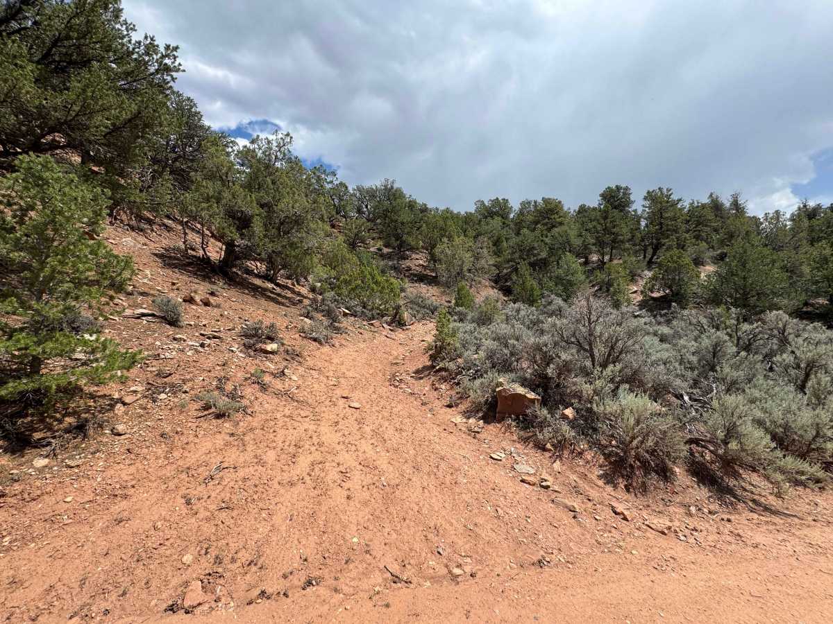 BLM 8457C photo 2
