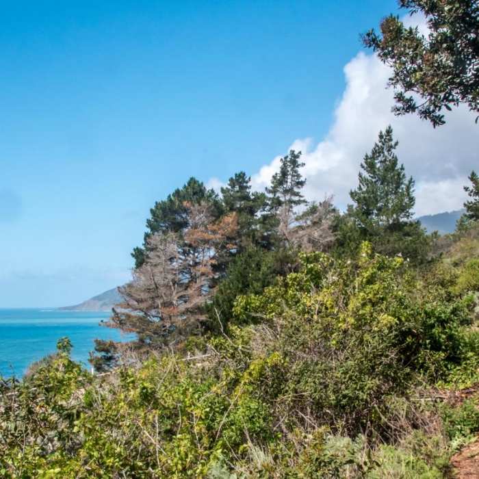 Near Kirk Creek / Vicente Flat Trail