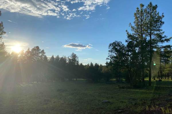 Ritter Road (Newman Park)