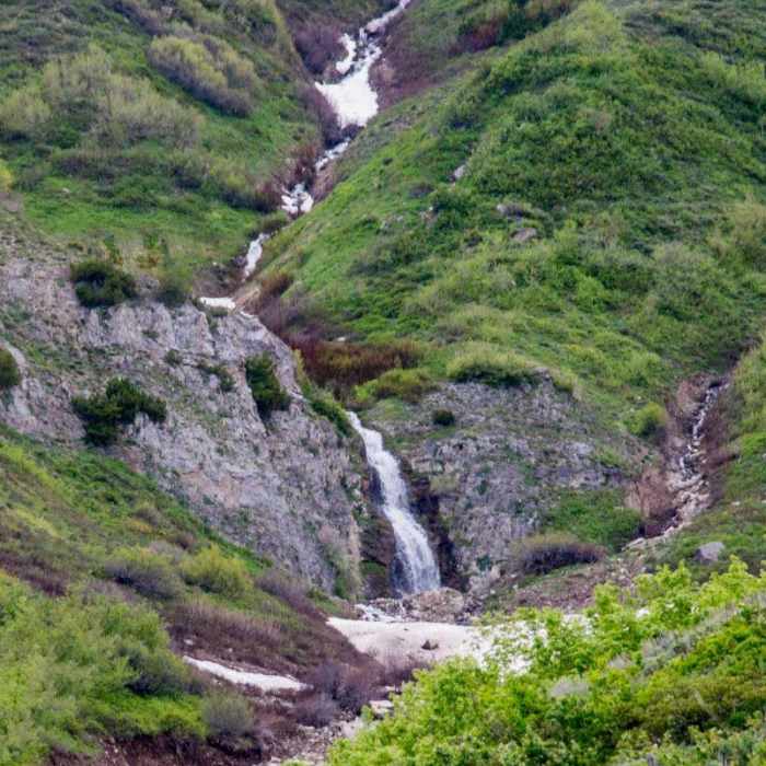 Near Wood Camp Hollow