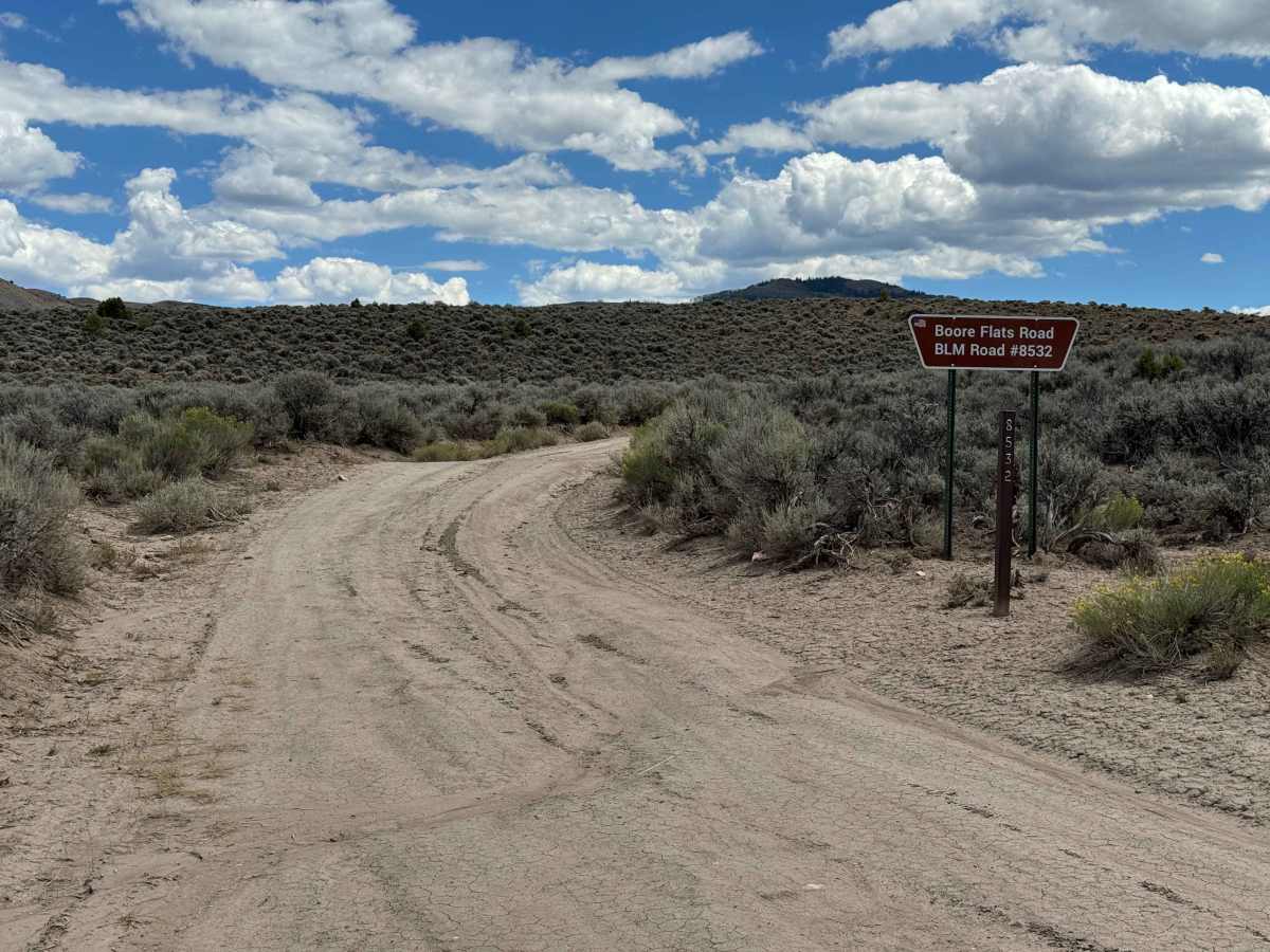 BLM 8532 photo 2