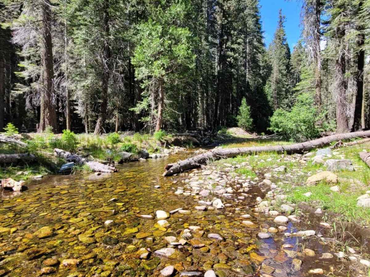 Buck Ranch photo 4