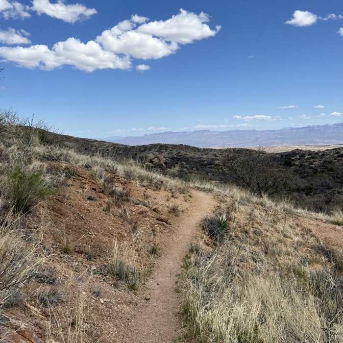 Near Oracle to American Flag