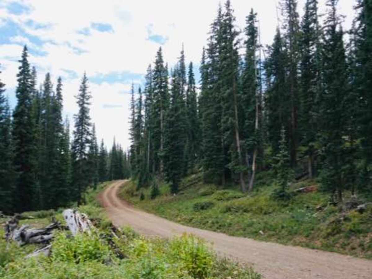 Red Creek photo 2