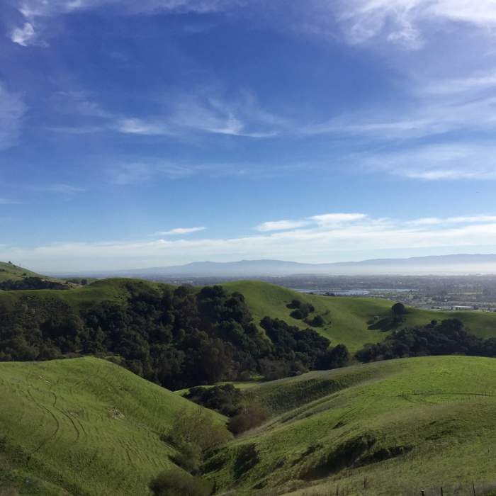 Near High Ridge Loop Trail