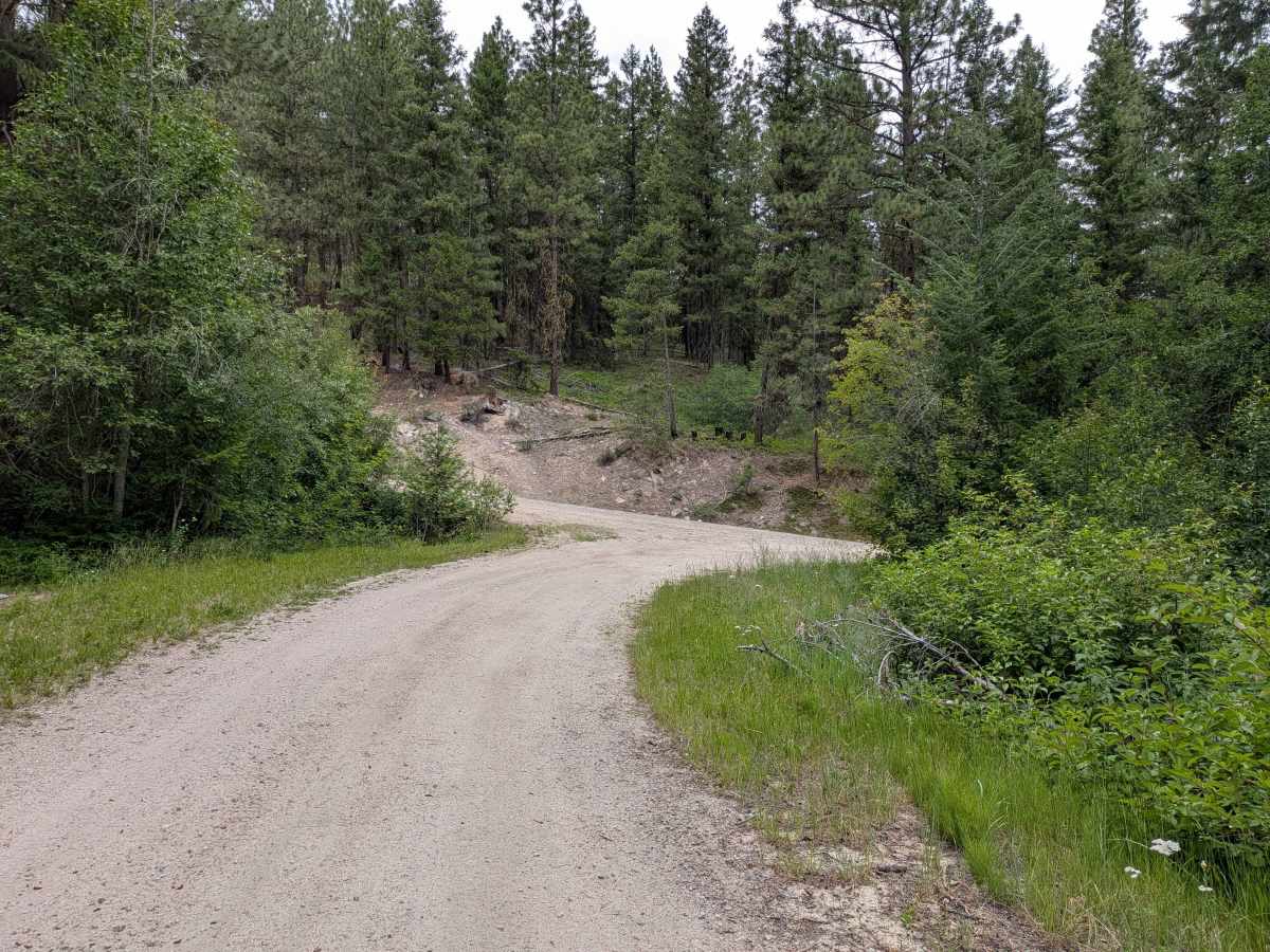 FS 4150-300 trail photo