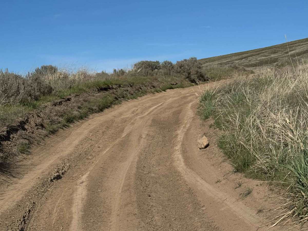 Roza Creek Road trail photo
