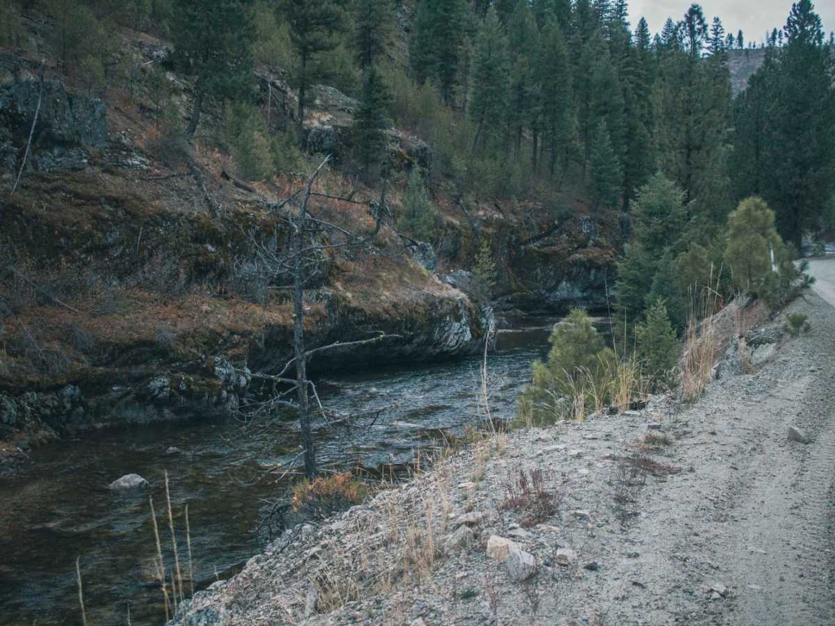 Rabbit Creek Road photo 4