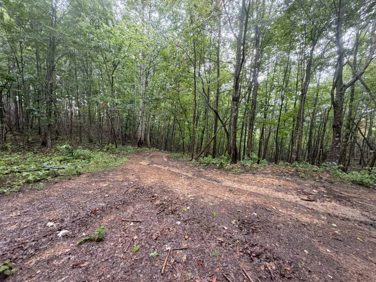22 trail photo