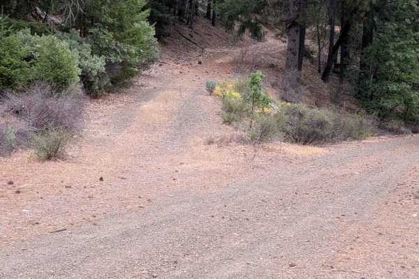 North Rattlesnake Road - FS 1N03