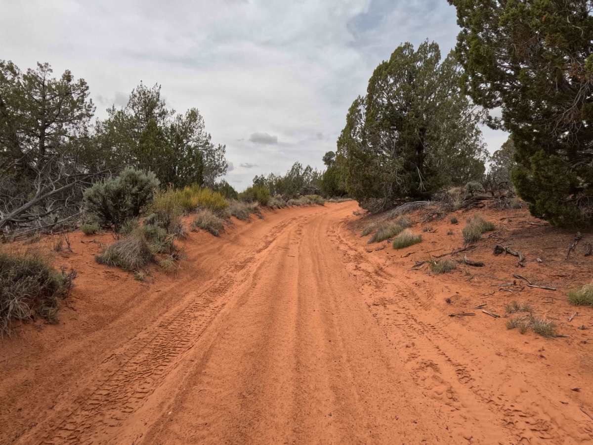 BLM 61 photo 5