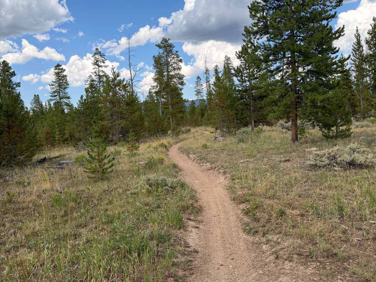 Parkview Creek Trail North trail photo