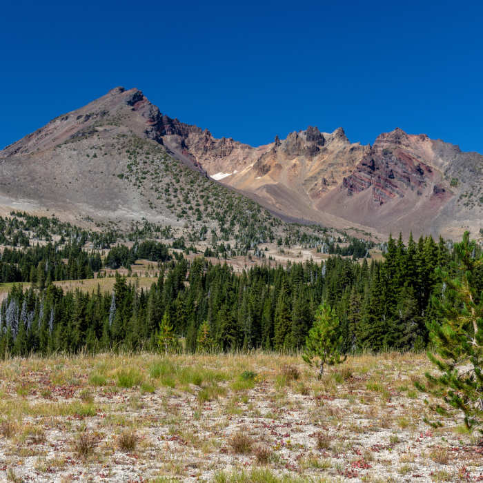 Near Soda Creek Trail #11