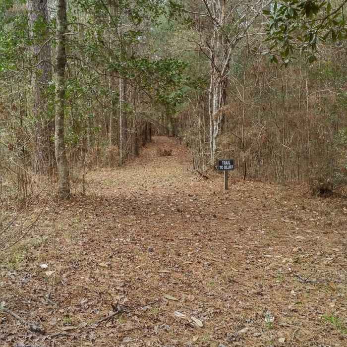 Near Fenceline Trail
