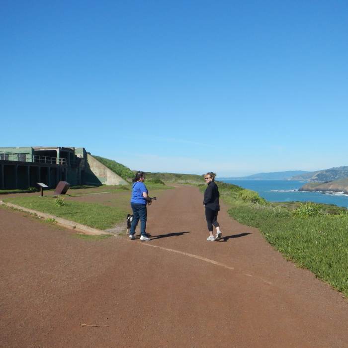 Near Mendell Road Trail