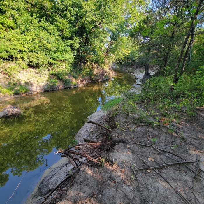 Near North Garland Trail East