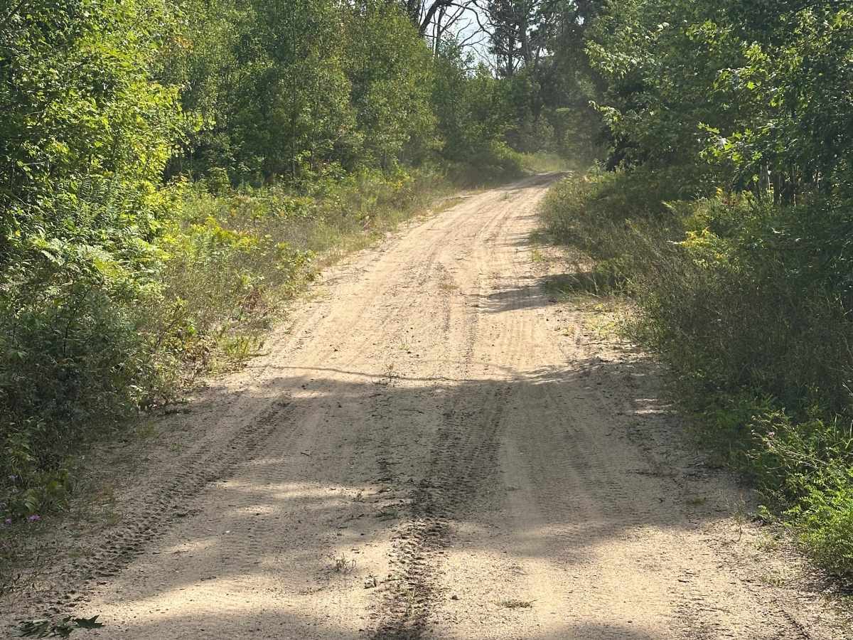 Cavanagh Road photo 3