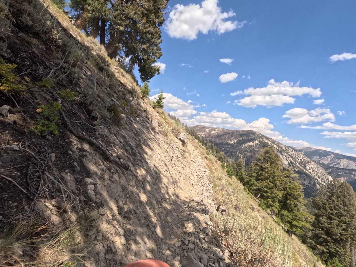 Paradise Creek - FS 7070 trail photo