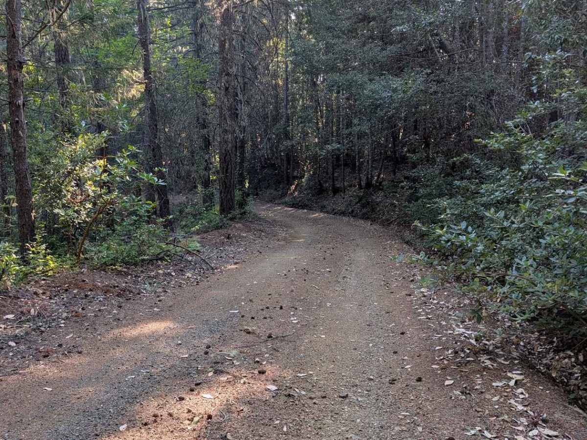 Round Knob Road - FS 5N27 photo 6