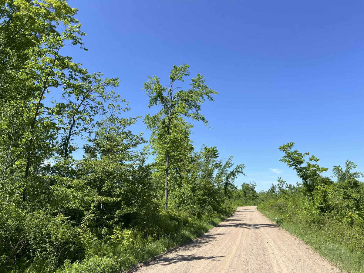 Diamond Roof Road - FS 2123 photo 3
