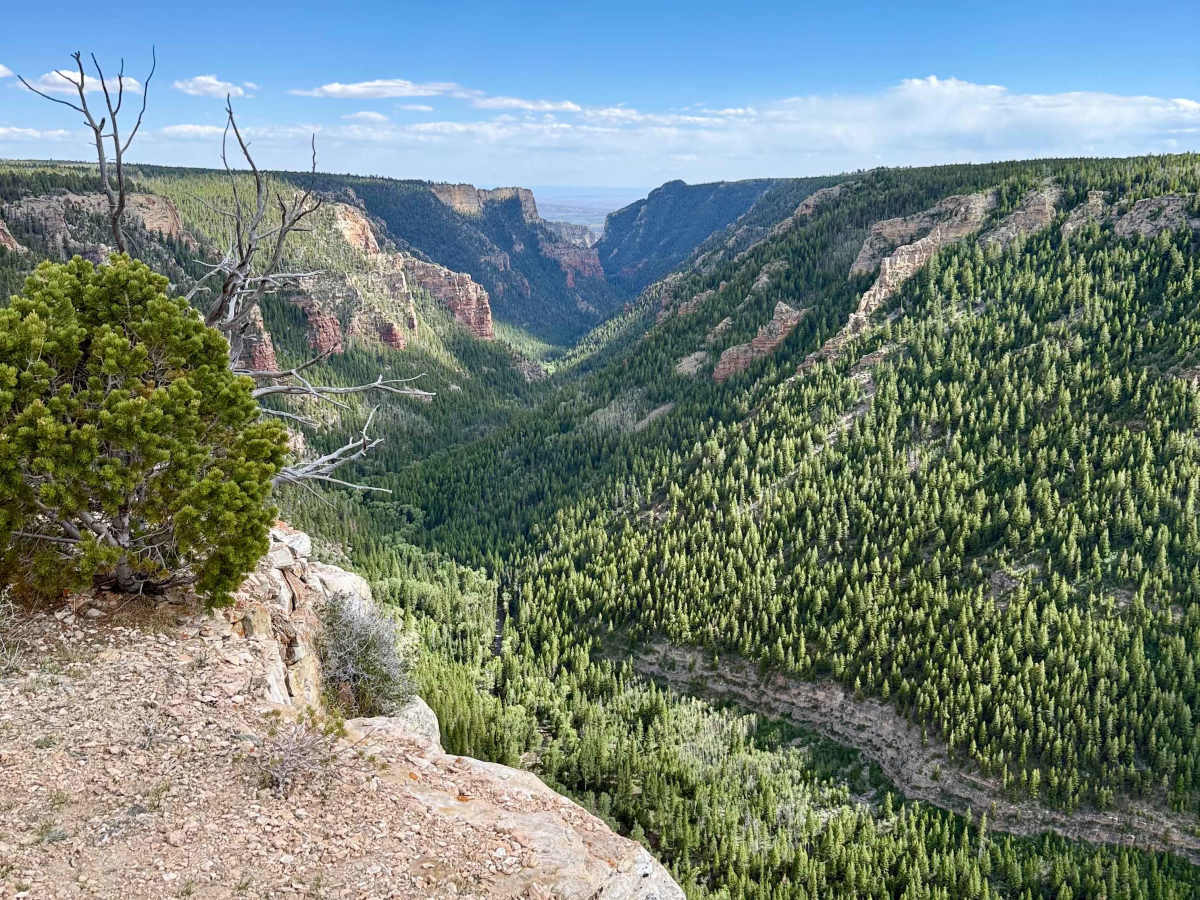 Ashley Gorge Viewpoint  trail photo