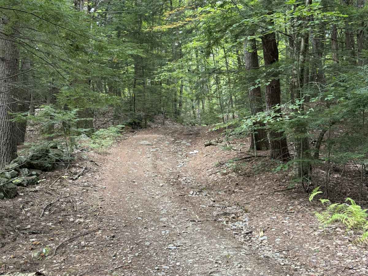 Homestead Road - West photo 4