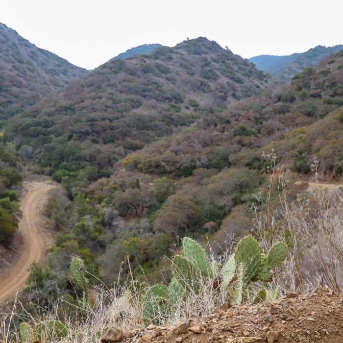 Near Hermit Gulch to Golf Course Loop