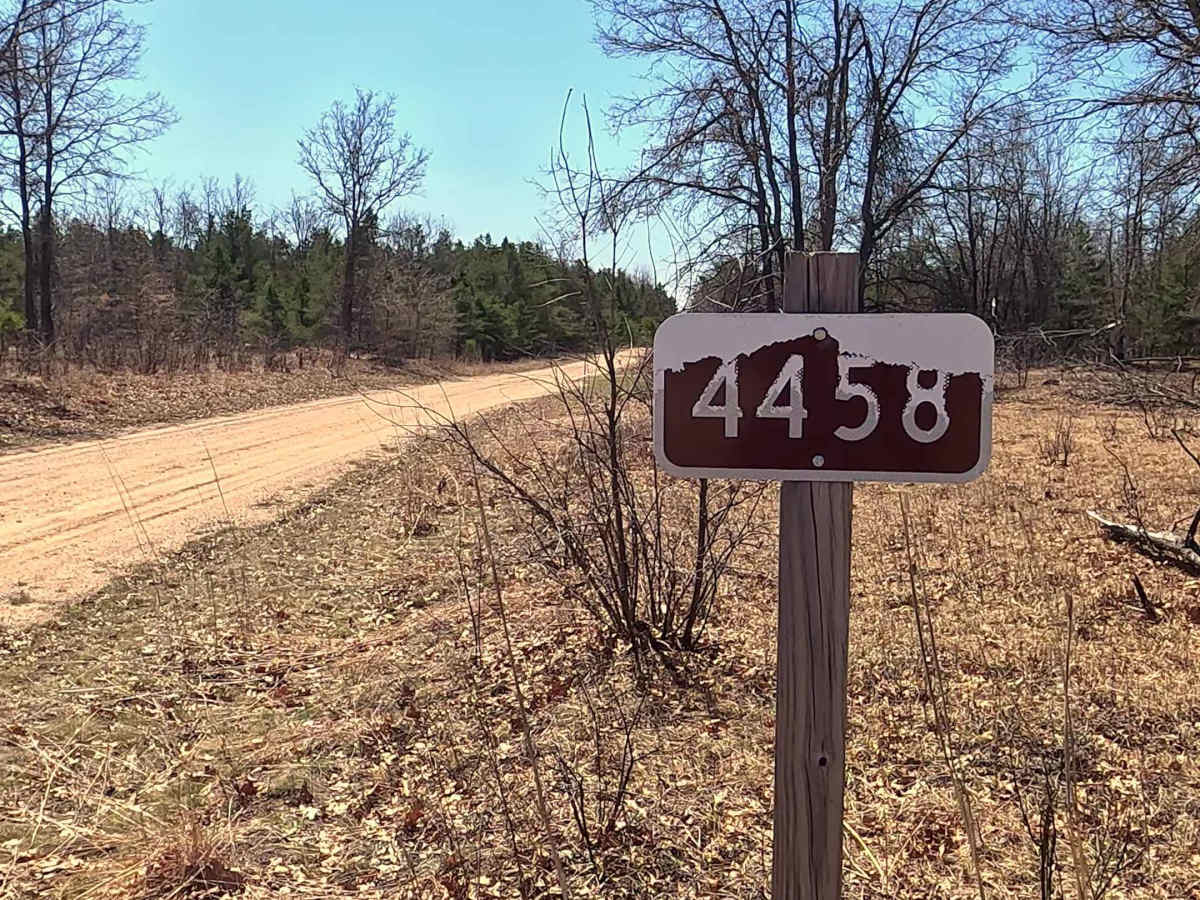 Eggleston - FS 4458 trail photo