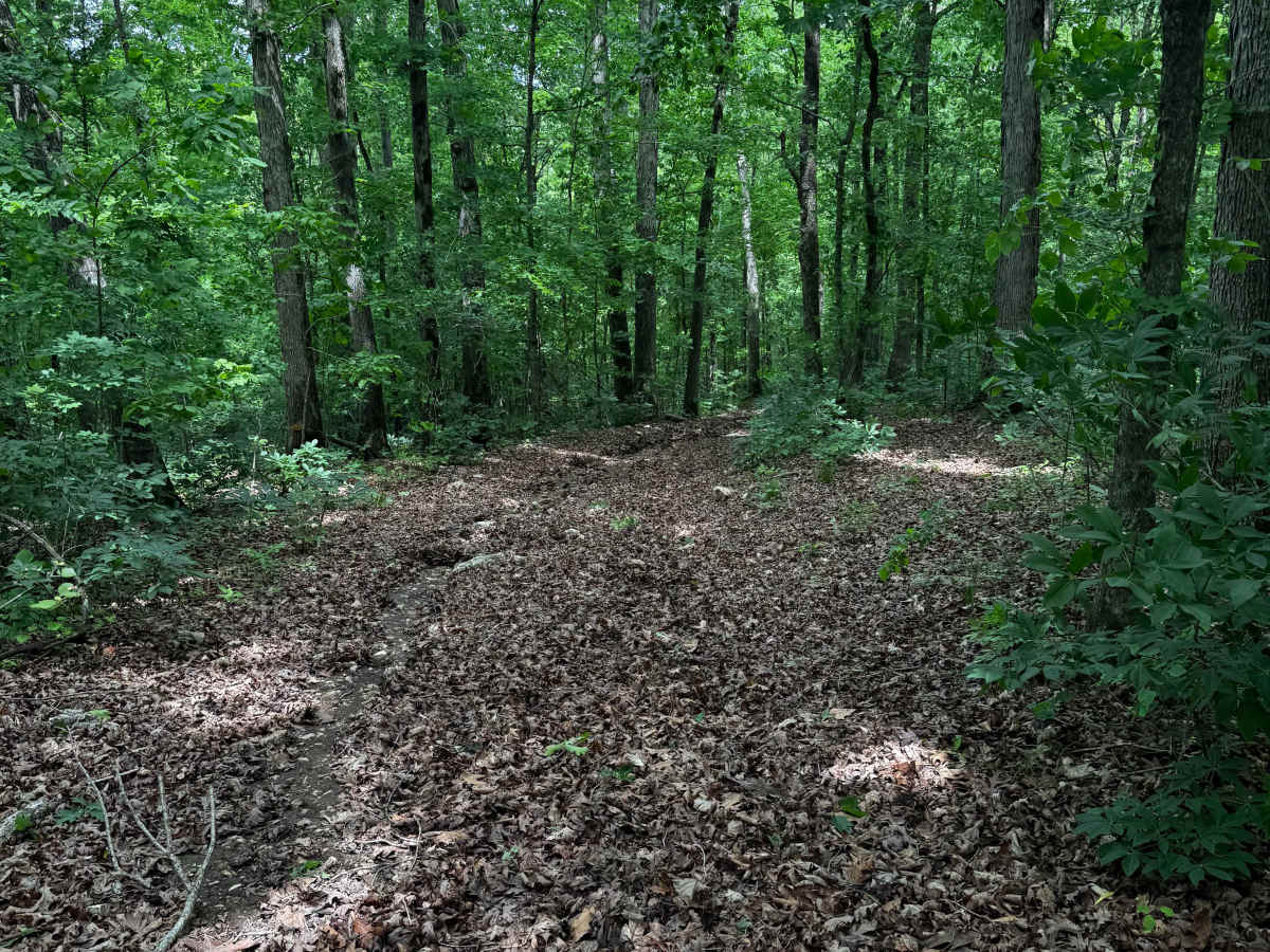 Hillside Adventure  photo 5