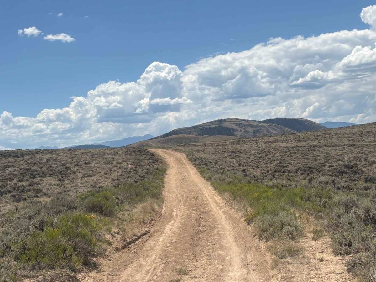 North Red Mountain Trail photo 3